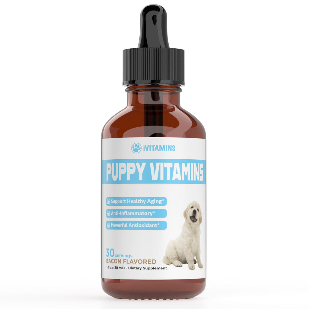 Puppy Vitamins | Puppy Supplements | Puppy Vitamins for Small Dogs | Puppy Vitamins Large Breed | Puppy Multivitamin | Puppy Vitamins and Supplements | Liquid Puppy Vitamins | 1 fl oz: Bac