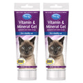 Pet-Ag Vitamin & Mineral Gel Supplement for Cats - 3.5 oz Pack of 2 - Provides Basic Daily Vitamins & Minerals for Cats 4 Months and Older - Easy to Digest